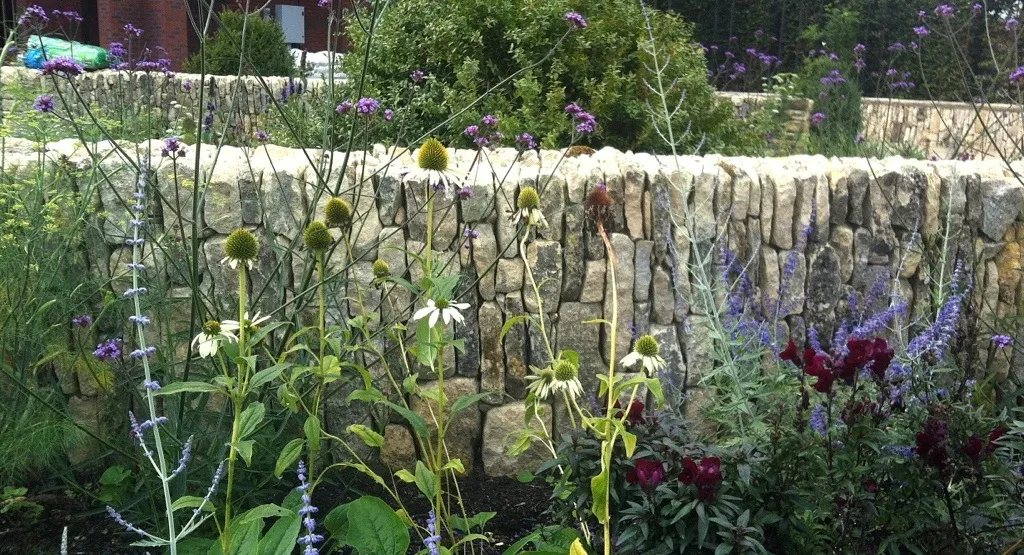 20120912-212528.jpg