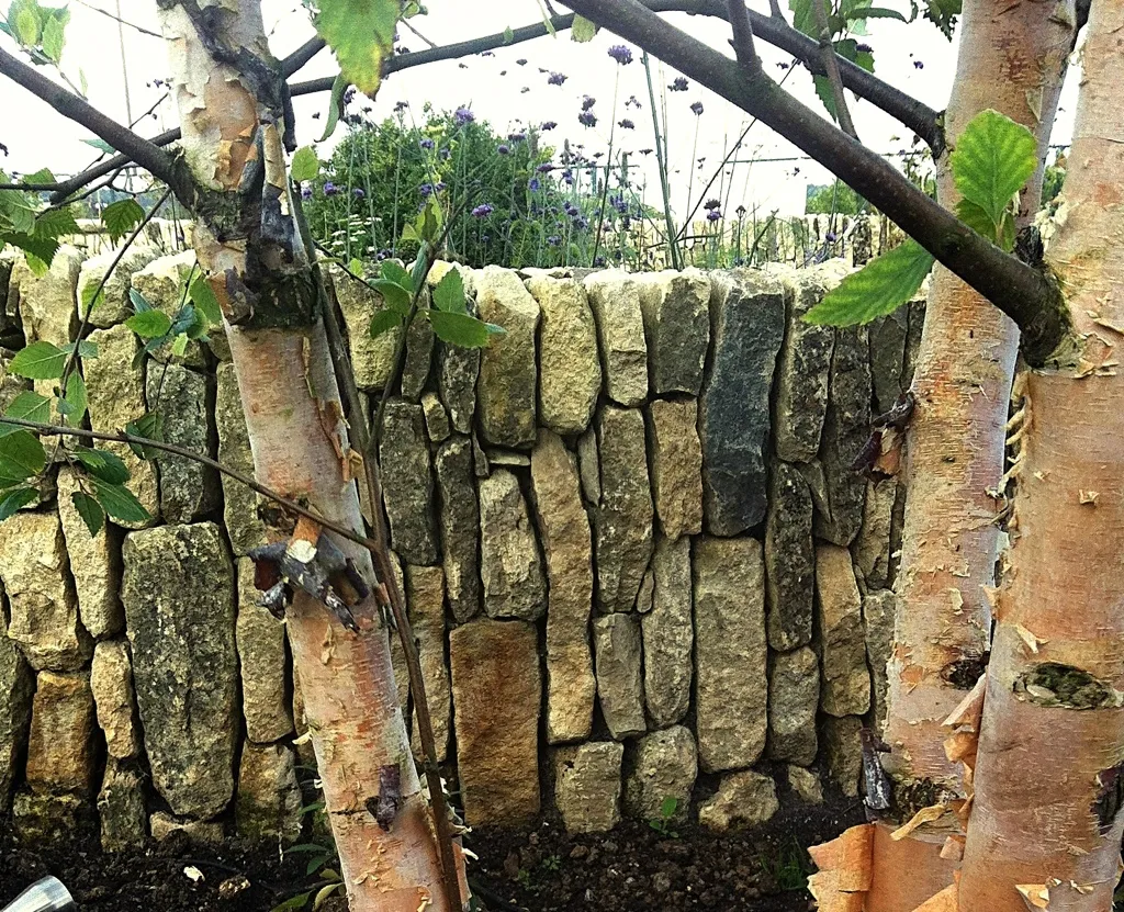 20120912-211503.jpg